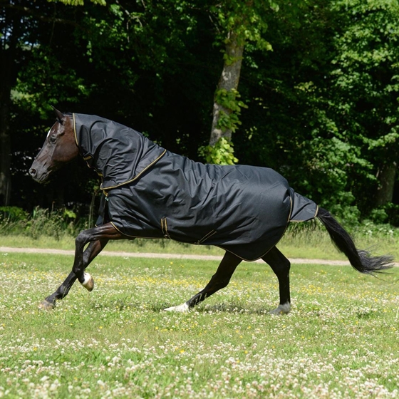 Bucas Irish Turnout+neck 50 Gramm Regendecke