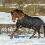 Bucas Irish Winterdecke 300 Gramm