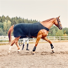 Kingsland Evolution Walker aus Wolle pferdedecken