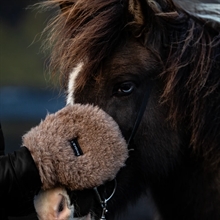 L'Evoine Alpaca Care Handschuh 