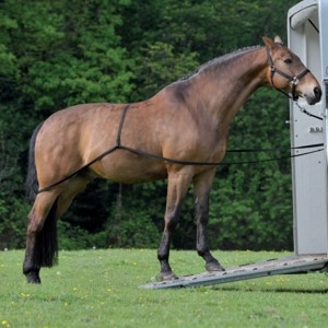QHP Ladeseil