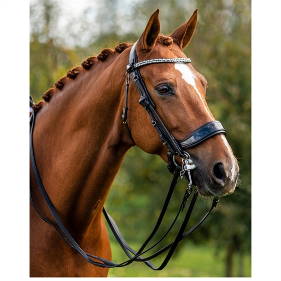 Presteq FayRein Kandarenzügel Outlet