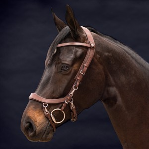 trensen PRESTEQ Faysport 