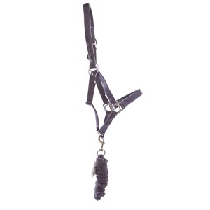 AB Polyester Halfter