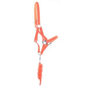 AB Polyester Halfter
