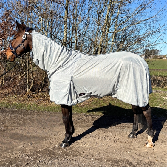 RK Fliegendecke mit Kreuzgurten