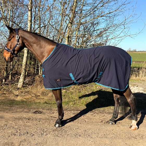 RK SommerPferdedecken