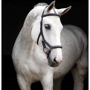 Horseware trensen Rambo Micklem Deluxe Wettbewerb ohne Zügel