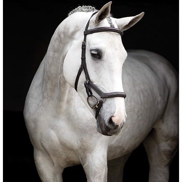 Horseware trensen Rambo Micklem Deluxe Wettbewerb ohne Zügel