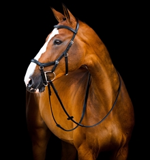 Horseware Rambo Micklem 2 Deluxe Competition