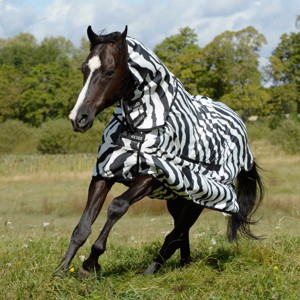 Bucas Sweet Itch Zebra Ekzemerdecken