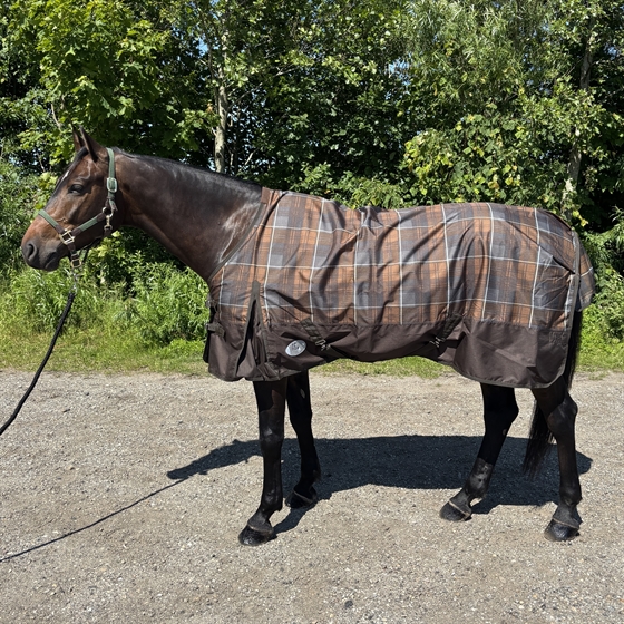 AB Reitsport Regendecke mit Fleecefutter Check