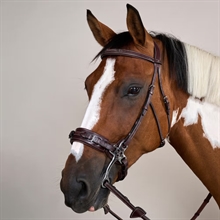 Dyon Hackamore Trense US Collection