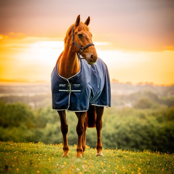 Horseware Amigo Ripstop 900 D Pony 100 Gramm