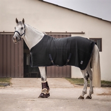Kingslandstalldecken Klassischer Wolltransport Evolution/ 