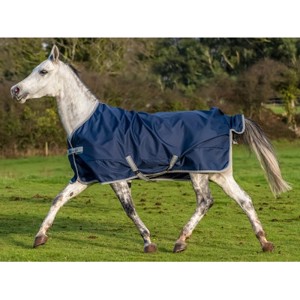 Marineblau/Silber