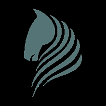 AB Sponsor FleecePferdedecken