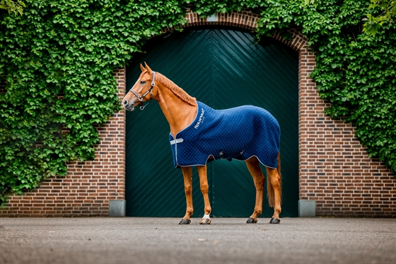Horseware Thermal Cooler