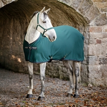 Dynasty Green/Navy & Silver