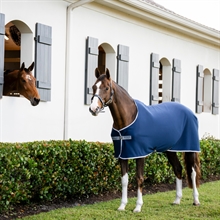 Navy/Titanium Grey & Silver