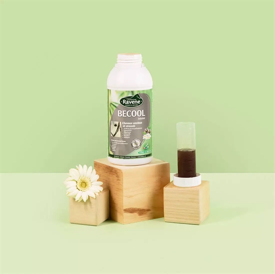 Ravene Becool Anti-Stress