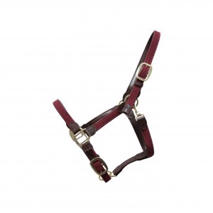 Kentucky Geflochtenes Nylonhalfter