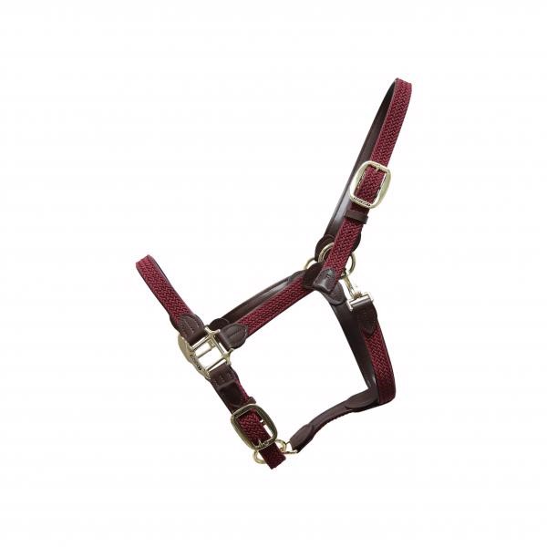 Kentucky Geflochtenes Nylonhalfter