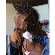 Carr & Day & Martin Belvoir Lederpolierhandschue