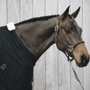 Kentucky anatomisches Halfter