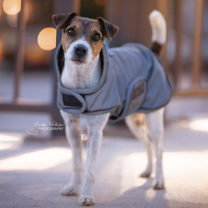 Kentucky Reflektierende Hundedecke 