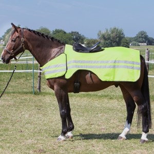 Harry's Horse Reitabdeckung mit Reflektor