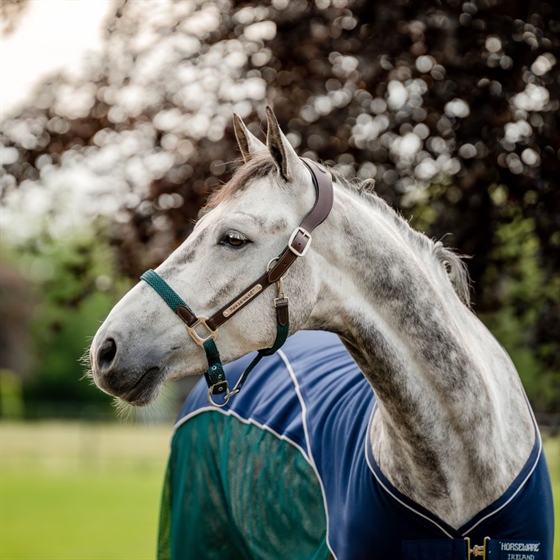Horseware Unterschrift Geflochtener Dreck 