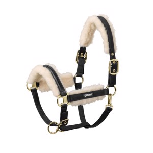Eskadron Evo Wool Doublepin Halfter mit Steinen 