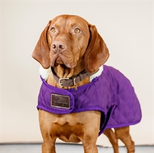 Kentucky Hundedecke Royal Purple
