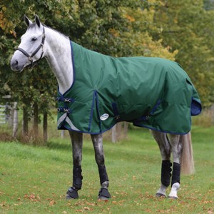 Weatherbeeta winterdecken 220 Gramm Comfitec Plus Dynamic II High Neck mittel