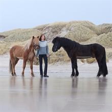 Eques KL Hekla Damen Jodhpur Reithose