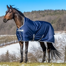 Bucas Freedom Turnout High Neck Übergangsdecke 150 Gramm