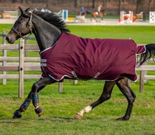 Horseware Amigo Hero Ripstop Regendecke Lite 0 gram