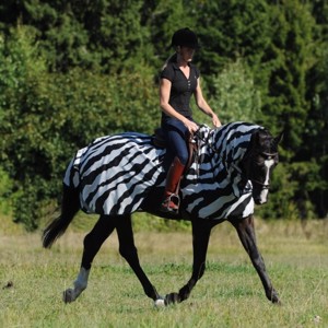 Bucas Buzz-Off-Reitzebra