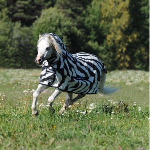 Bucas Buzz-Off combo Zebra Pony