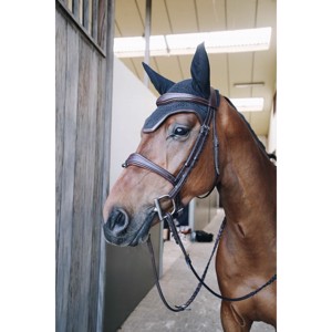 Kentucky Wellington Lederhut