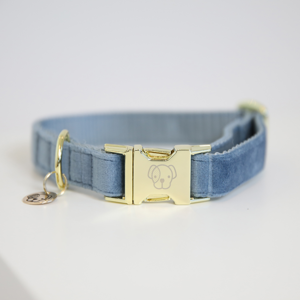 Kentucky Hundehalsband aus Samt