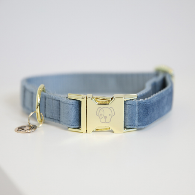 Kentucky Hundehalsband aus Samt