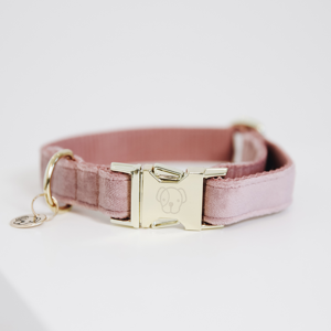 Kentucky Hundehalsband aus Samt