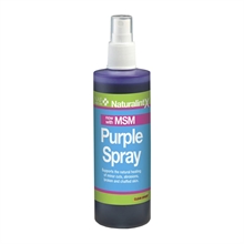 NAF NaturalintX Lila Aloe Vera Spray 