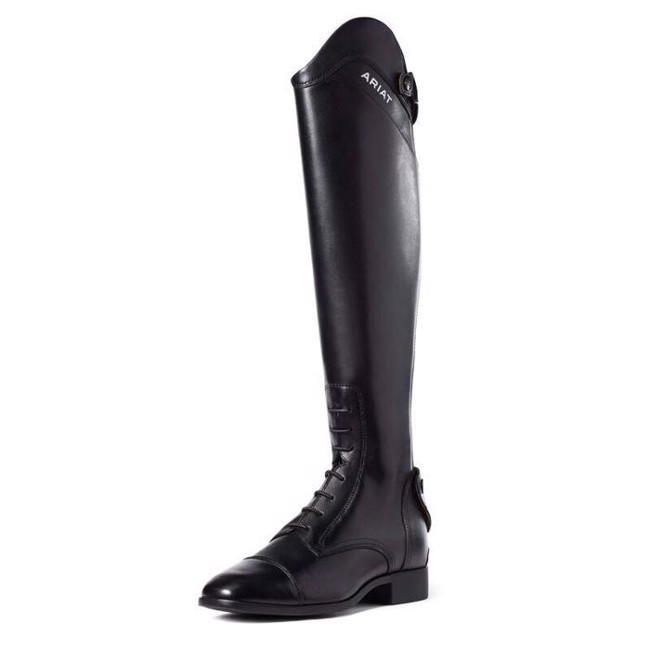 Ariat Palisade Tall Reitstiefel
