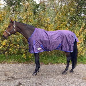 AB Übergangsdecke Purple Diamond 200 Gramm 