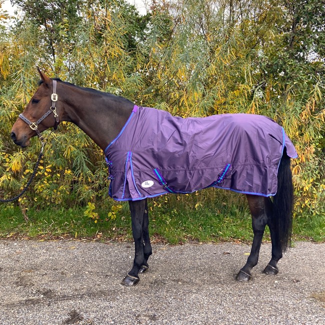 AB Übergangsdecke Purple Diamond 200 Gramm 