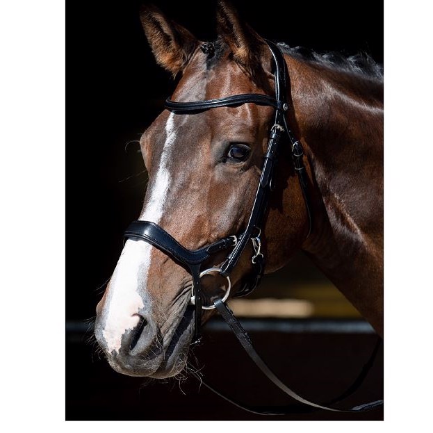 Harry\'s Horse trensen Datum der Veröffentlichung 
