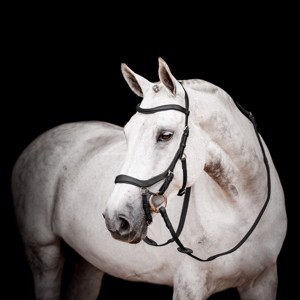 Horseware Micklem 2 Wettbewerb trensen